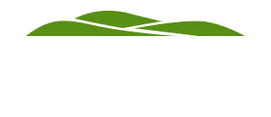 Smittys Capital Grp